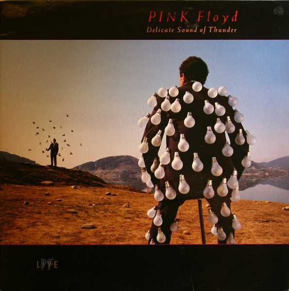 Pink Floyd – LIVE 2 пластинки . Пластинки SNC. AnTrop. Universal.