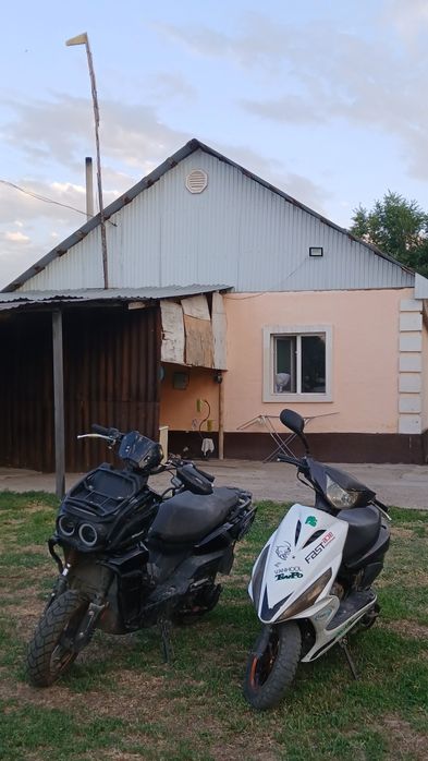 ангел мопед 125 куб