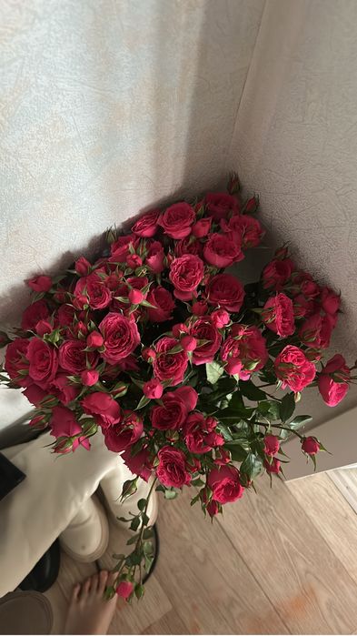 Цветы, кустовые розы