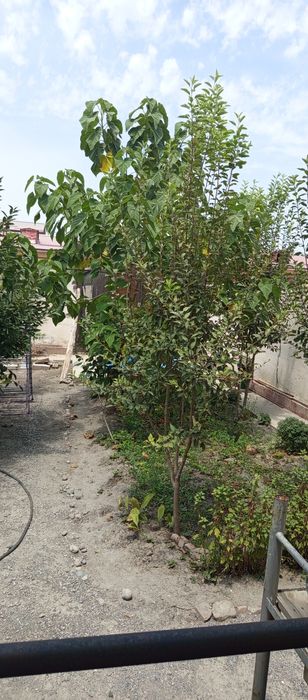 Аэропорт коттедж,2 сотикли