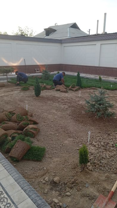 РУЛОННЫЙ ГАЗОН + доставка установка | Rulonli Gazon + yetkazib berish