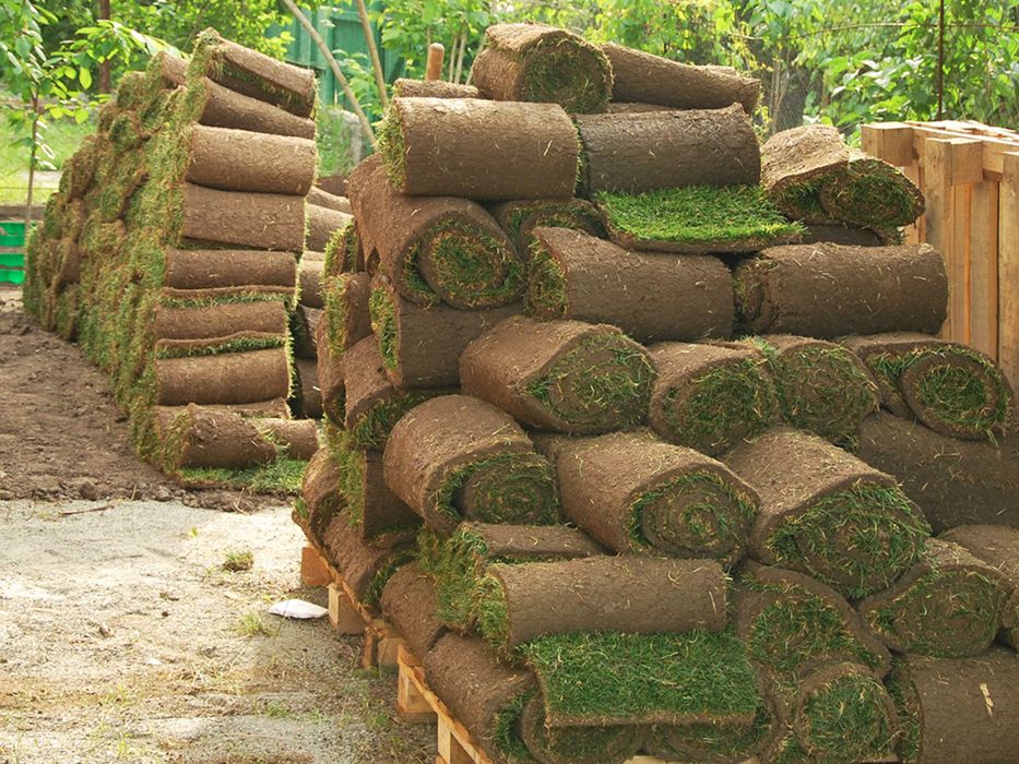 Оптом рулонный газон | Optom tayyor gazon