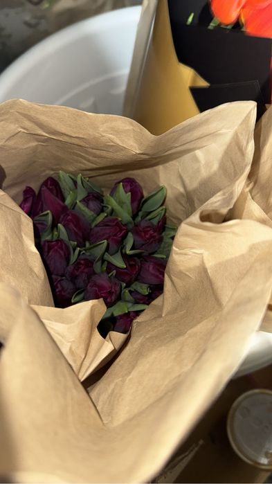 Распродажа тюльпанов 500 тенге