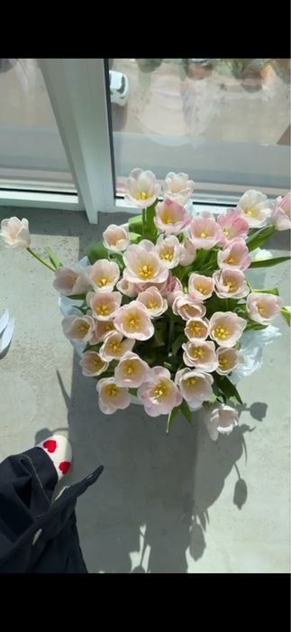 Продаются цветы тюльпаны