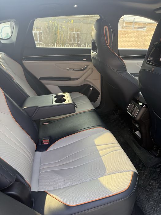 BVD Song Plus EV CHempion 605