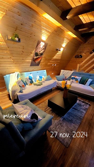 Cabana Apuseni Wild!