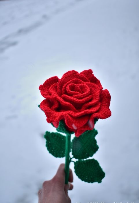 Ръчно платени лалета