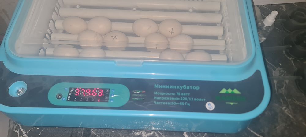 Продам инкубатор на 36 яиц