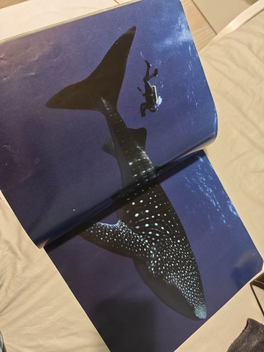 National Geographic the photographs