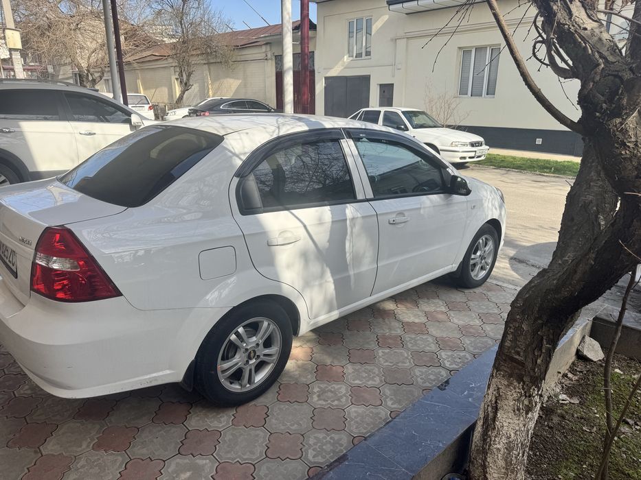 Other Nexia 2019 — 3