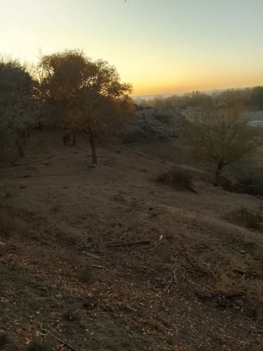 Земельный участок