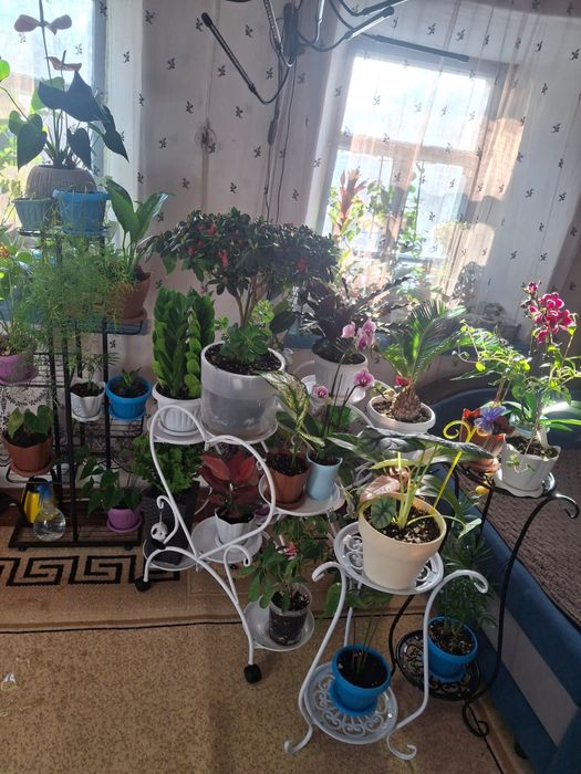 Продам полки для цветов