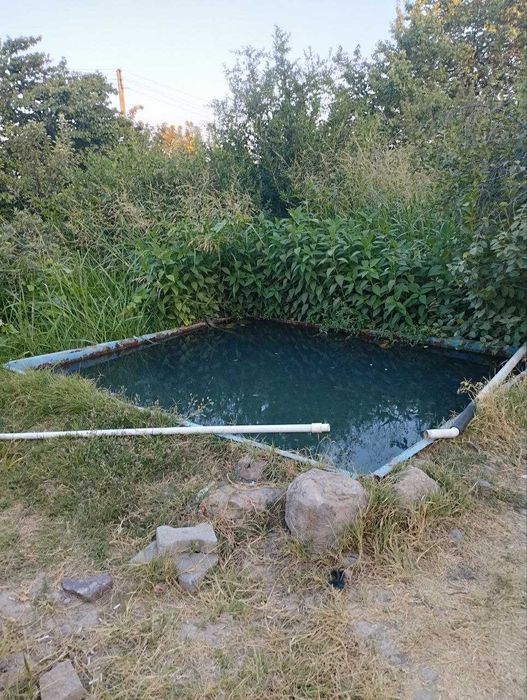 Дала Ховли 10,5 соток