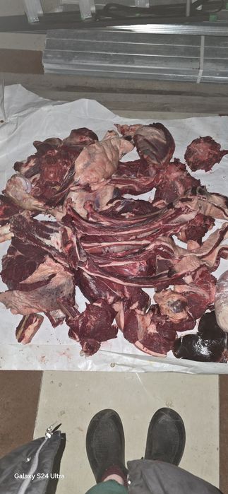 Мясо Конины, молодое