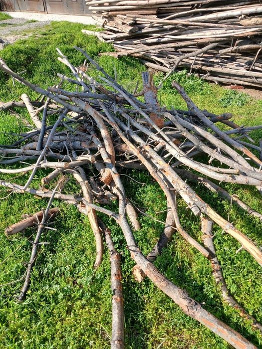 O'tin bor, somsachilar