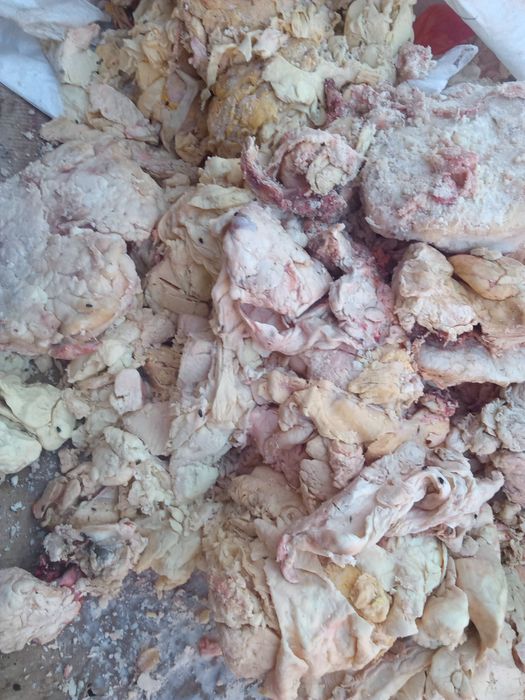 Жир гов. технический