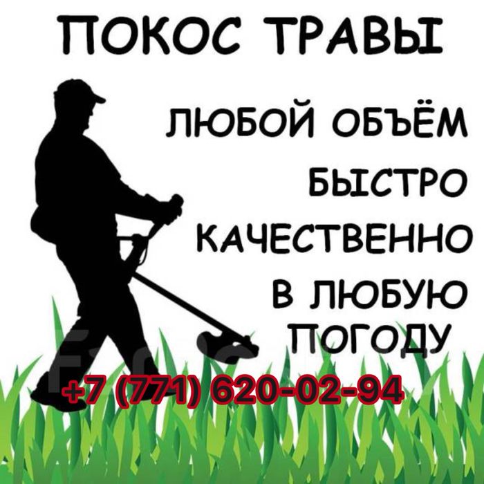 Покос травы тримером