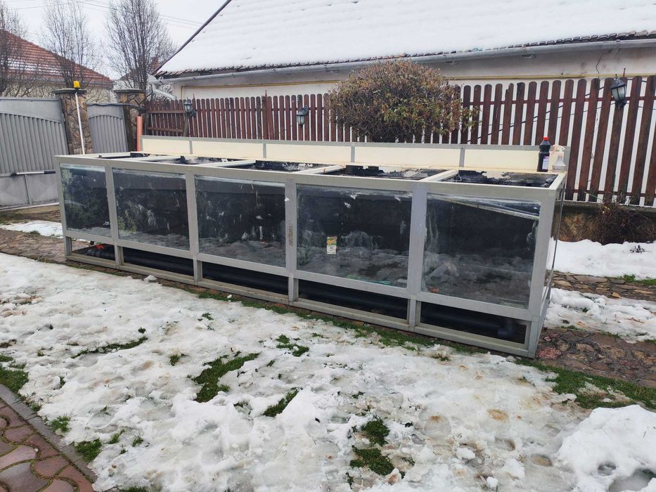 Stand de pastrarea si  vinzarea pestelui viu