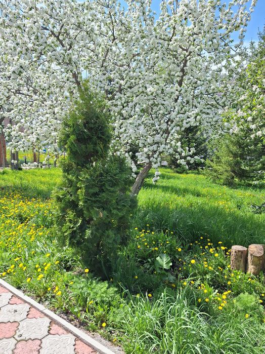 Загородный домик