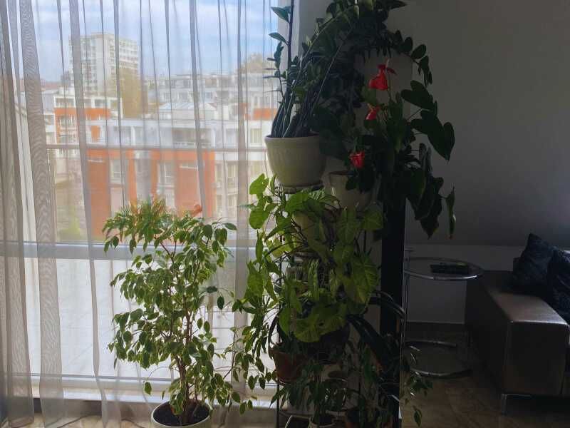 Дава под Наем МЕЗОНЕТ, град София, Витоша