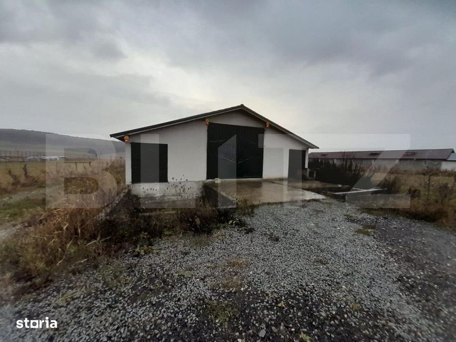 Casa individuala,180mp, 5000 mp teren plus Hala 550mp.CEPARI