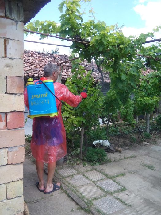 продавам къща с. Ново  Янково