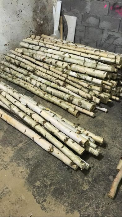 Lemn de mesteacan decorativ  mesteacan trunchi de mesteacan