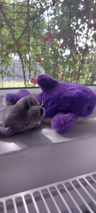 Balenă violet și focă gri +surpriză