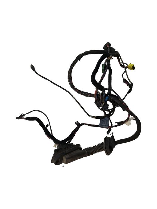 Instalatie Electrica Usa Stanga Fata Bmw 6 E63 2004 - 2010