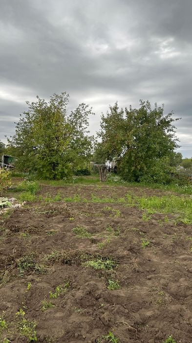 Продам дачу сад здоровье.