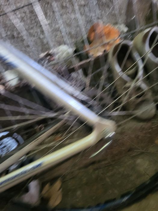 Bicicletă! Trebuie făcută revizia