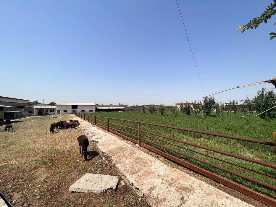 Сдаётся в аренду помещение под бизнес Назарбек