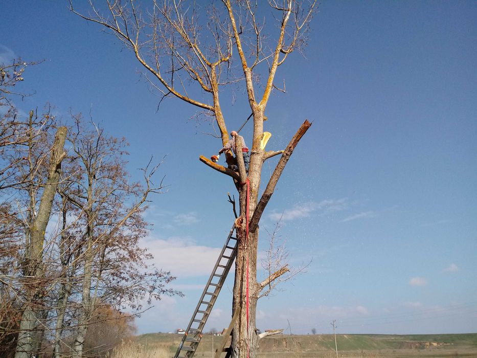 Почистване на дворове и обрасли терени в Бургаска област