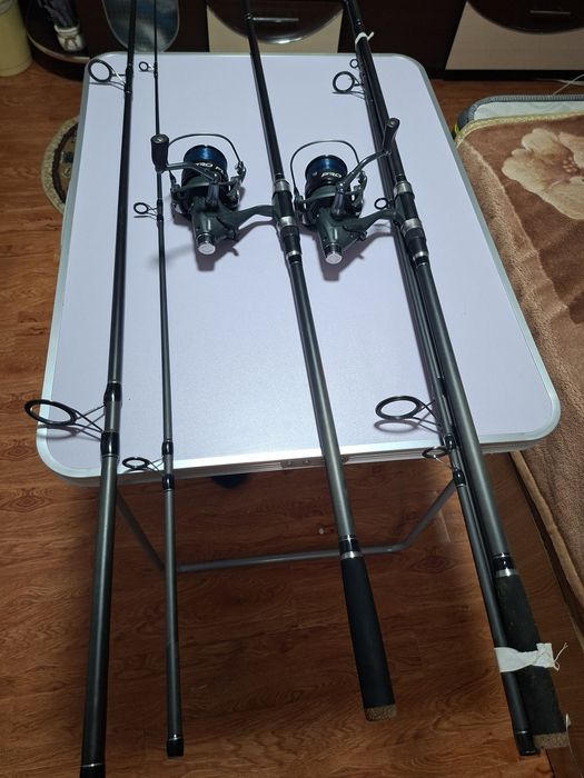 Lansete pescuit crap.