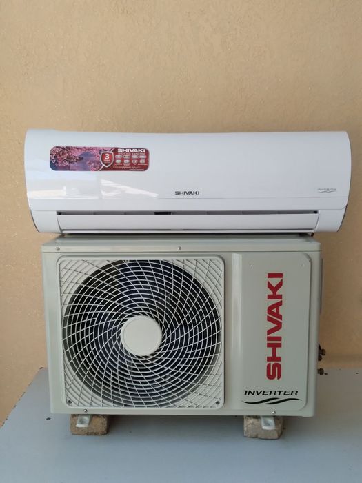 Кандисанер Шиваки Сакура.