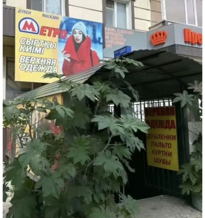 Торговая площадь в центре города