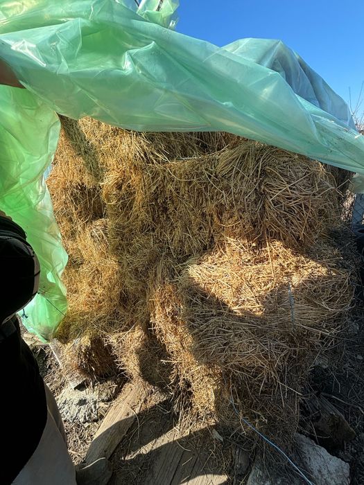 Baloți lucernă !!!