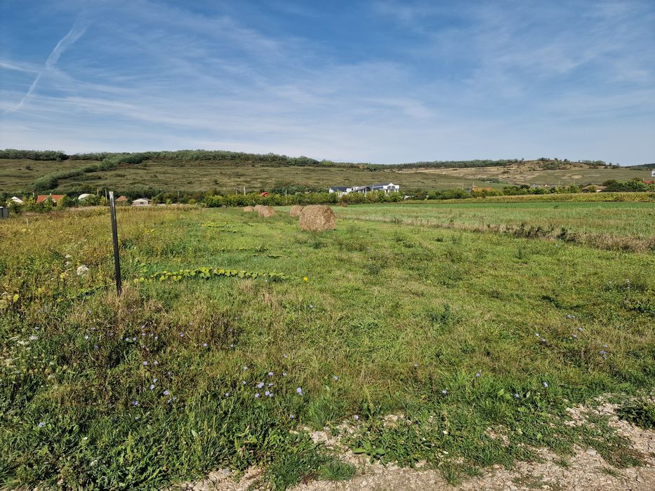 Vand teren in jucu de mijloc