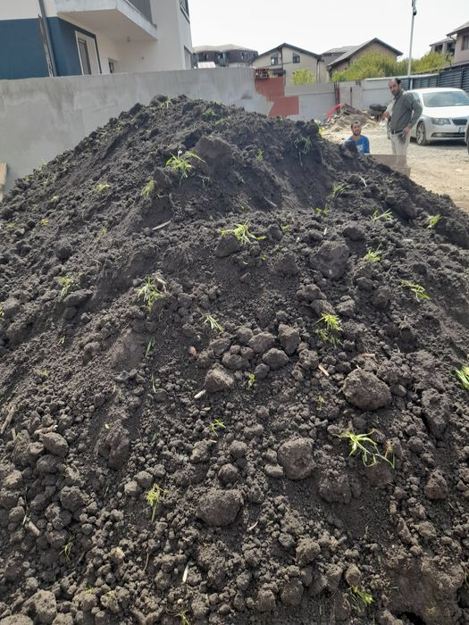Pământ de umplutura pământ gradina pământ vegetal pamant negru nisip p