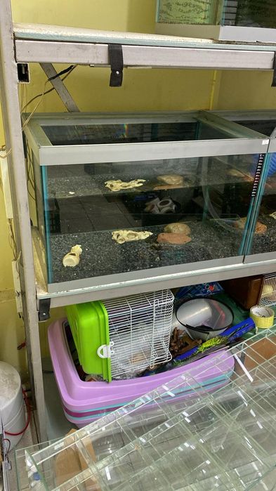 Продаются прочные качественые аквариумы