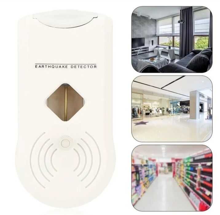 Detector cutremur, seism