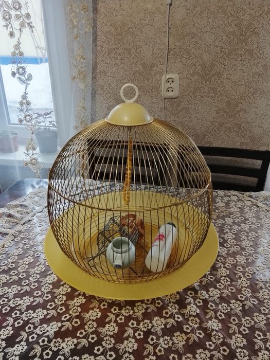 Продам клетку, в хорошем состоянии.