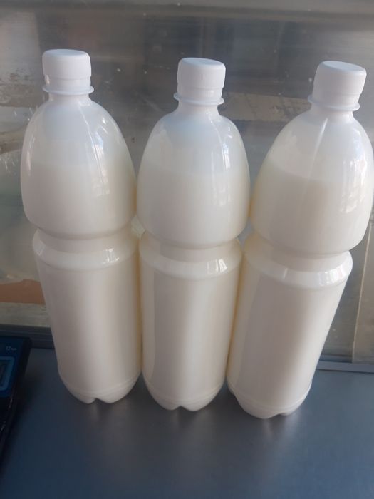 Қымыз табиғи таза