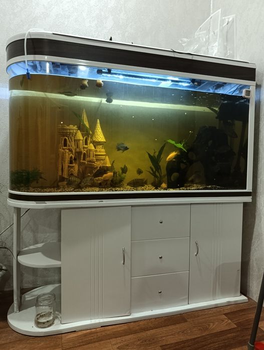 Продам аквариум jebo