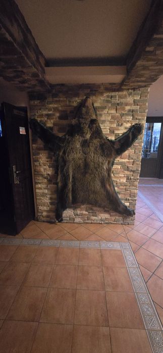 Vand Trofeu Urs brun