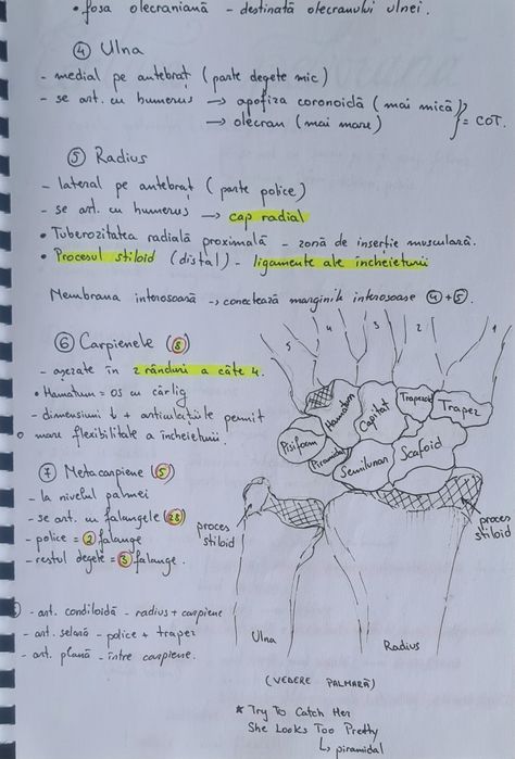 Sinteze Barron's pentru admiterea la medicină