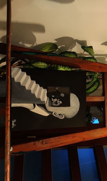 Picturi personalizate