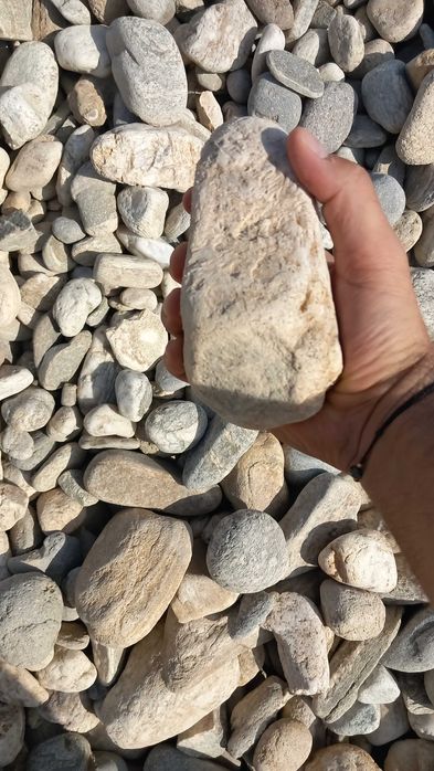 Пясък, чакъл, камък, филц, извозване на отпадъци, тор, транспорт.