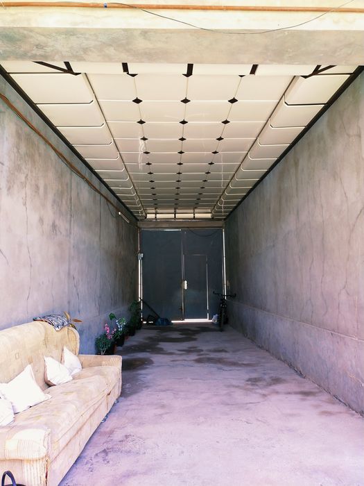 Hamma uchun bitta porno ona