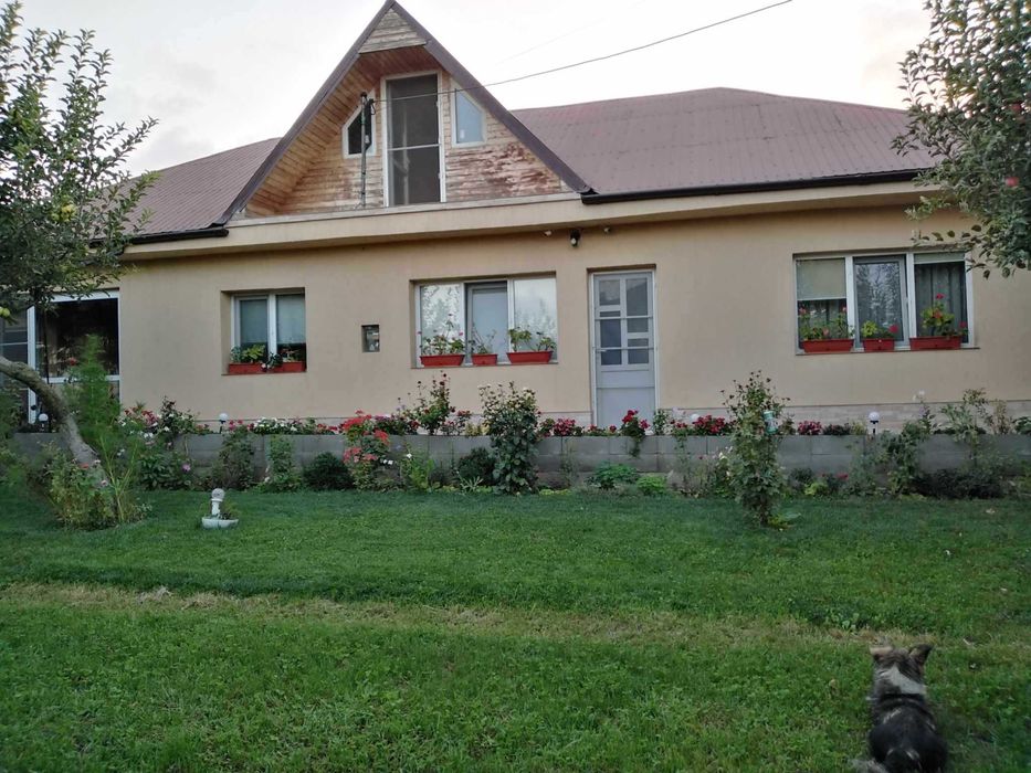 Casa de Inchiriat Limanu-Sezon